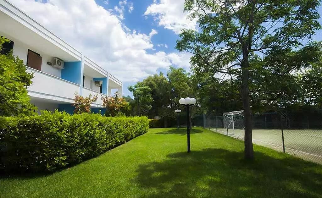 More photos